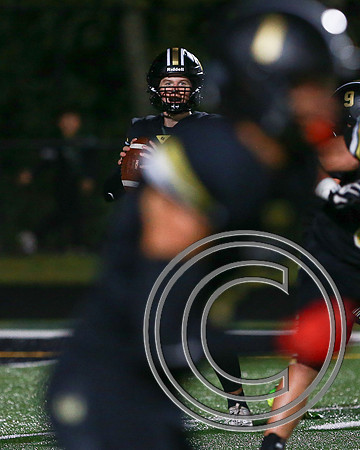 0685